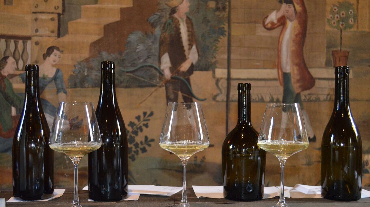 Degustação de Vinhos com Visita aos Vignobles | Domaine Du Chateau De Viviers