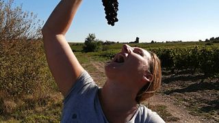 Domaine Treloar