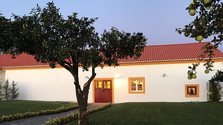 Visita Guiada e Prova Premium na Quinta Da Fonte Souto