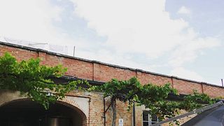 Marchesi Alfieri Winery