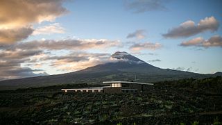 Dégustation de vins – Sel et épices | Azores Wine Company
