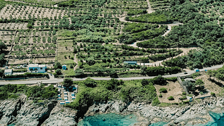 Besök Domaine Terra Di Catoni Winery