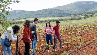 Zeginis Winery