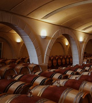 Visita aos vinhedos de Châtonnet