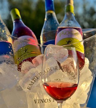Bodegas Viticultores De Barros