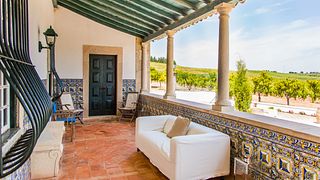Lisbon Vineyard & Wine Delight at Quinta do Pinto
