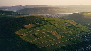 Kruger-Rumpf Winery