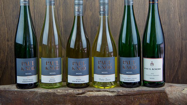 Degustação de vinhos e tour em Paul Knod