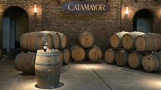 Visita guidata e degustazione di vini Alta Gama presso Bodegas Castillo Viejo