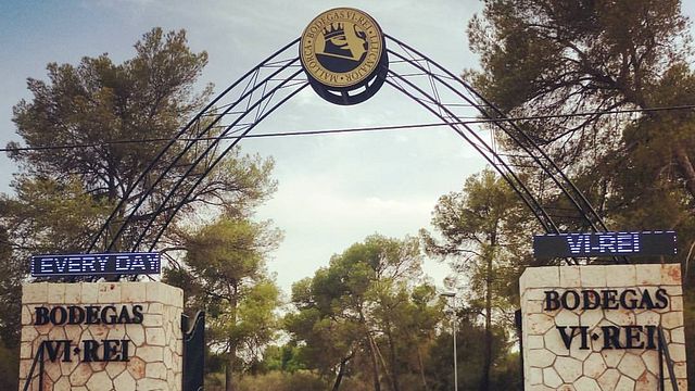 Bodegas Vi Rei: A Unique Winery Experience