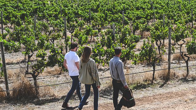 Dégustation de vins et visite du domaine Voyager