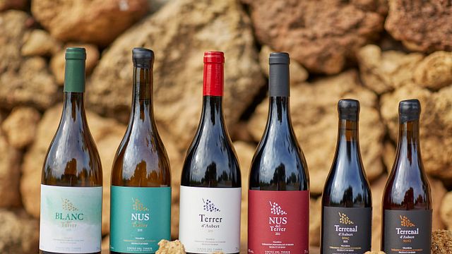 Vinyes Del Terrer