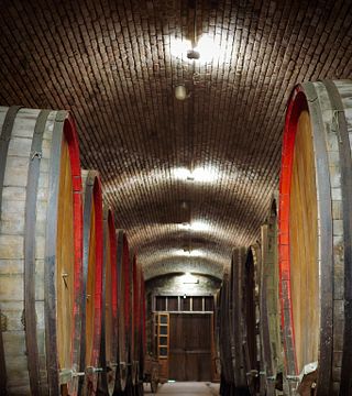 A Arte do Vinho: Uma Jornada de Degustação em Casalbosco