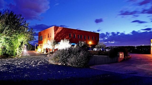 Cata de vinos VIP ORGÁNICOS