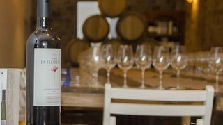 Degustação de vinhos e tour na Bodega Familia Cassone