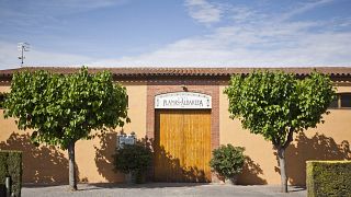 Caves Planas Albareda