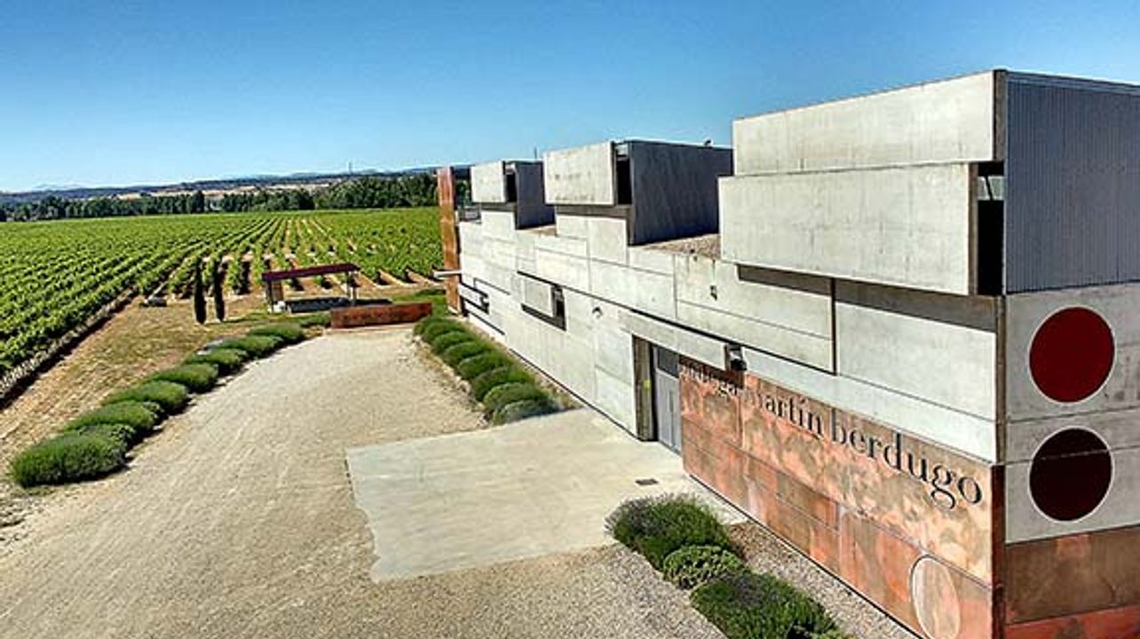 Bodega Y Viñedos Martín Berdugo