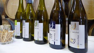 Degustazione di vini e visita al Domaine de la Jobeline