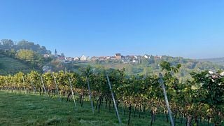 Laboratorio del vino Württemberg