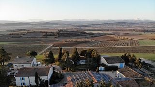 Visita de las bodegas con cata de vinos en Domaine La Louvière