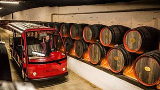 Excursion aux caves Cricova et Milestii Mici avec dégustation de vins