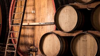 Winery Tour and Wine Tasting at Rottensteiner Hans