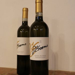 Visita y cata de vinos con productos locales en D'Erasmo Vini con alojamiento