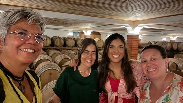Degustazione di vini premium a Quinta do Sampayo