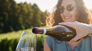 Dégustation de vins et visite chez Binè