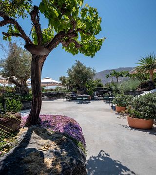Degustazione di cinque vini presso l'azienda vinicola Artemis Karamolegos