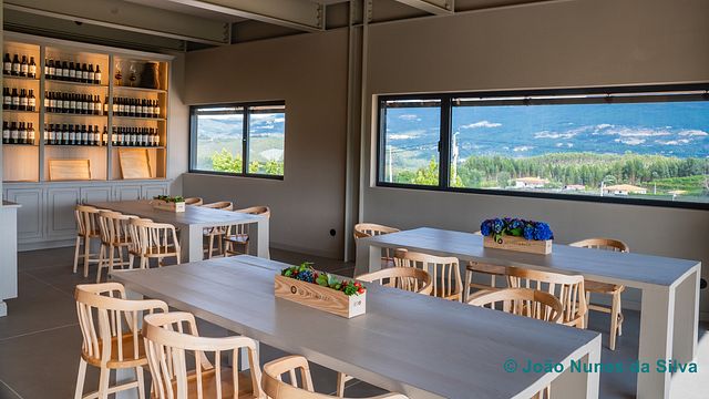 Un viaje por los “Vinhos Verdes” de la Región de Basto