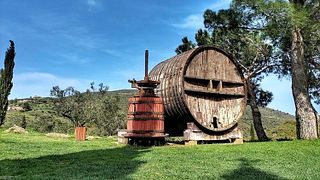 Celler Martin Faixo