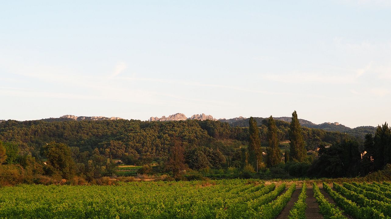Domaine des Pasquiers: A Hidden Gem in Rhône