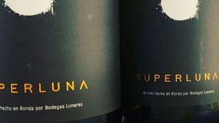 Degustazione di vini e tour alla cantina Lunares