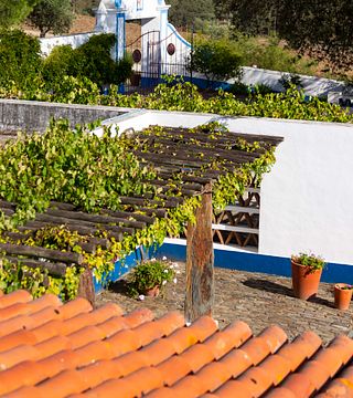 Monte do Pintor Winery