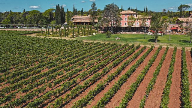 Château Saint-Roux: A Gem in Provence