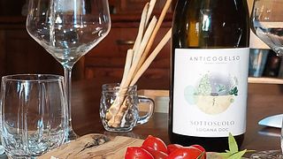 Wine Experience Antico Gelso sul Lago di Garda