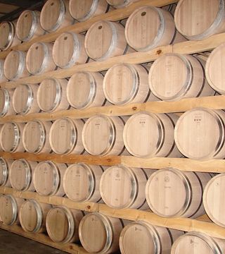 Degustazione di vini e visita alle Caves De Rauzan