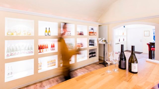 Degustazione di vini e tour della cantina presso Weingut Zimmerle