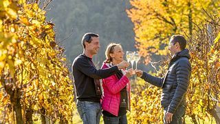 Lombardy Wine & Dining at Al Rocol