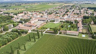 Weinprobe und Führung bei Dominio Di Bagnoli