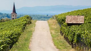 Privat-Weingut Schlumberger-Bernhart