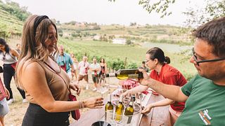 Cantina Pegoraro