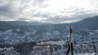 Weinprobe im Weingut Iselin