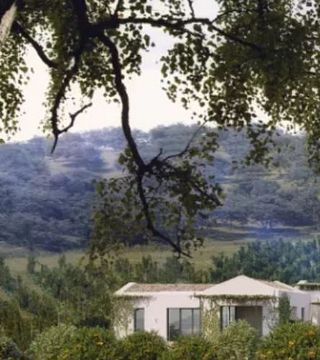 Dégustation de vins et visite de la cave La Melonera