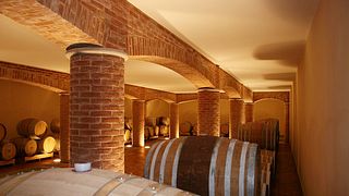 Esperienza top - Degustazione di vini in Piemonte