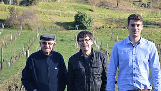 Vignobles Barreau