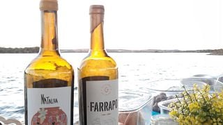 Visita e degustazione di vini presso l'azienda vinicola Talha