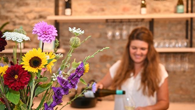 Dégustation de vins et visite de la cave du Weingut Mertz