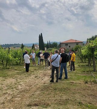 Cantina Meroni